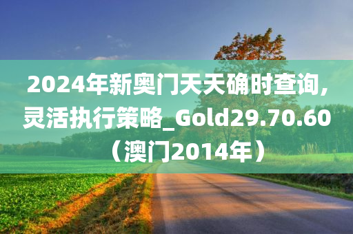 2024年新奥门天天确时查询,灵活执行策略_Gold29.70.60（澳门2014年）