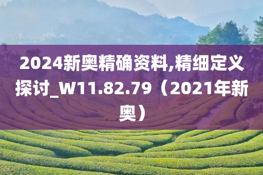 2024新奥精确资料,精细定义探讨_W11.82.79（2021年新奥）