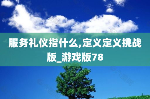 服务礼仪指什么,定义定义挑战版_游戏版78