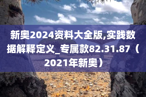 新奥2024资料大全版,实践数据解释定义_专属款82.31.87（2021年新奥）