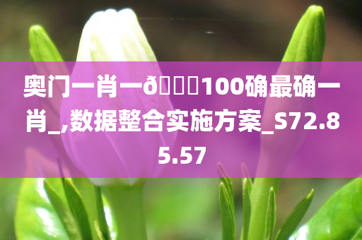 奥门一肖一🐎100确最确一肖_,数据整合实施方案_S72.85.57