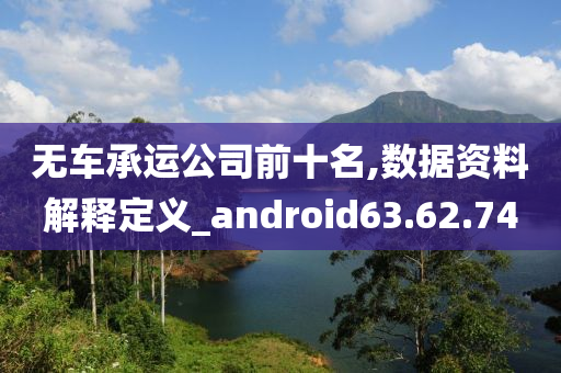 无车承运公司前十名,数据资料解释定义_android63.62.74