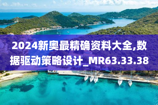 2024新奥最精确资料大全,数据驱动策略设计_MR63.33.38