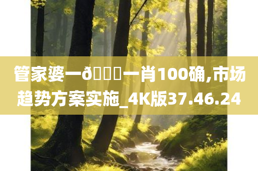 管家婆一🐎一肖100确,市场趋势方案实施_4K版37.46.24