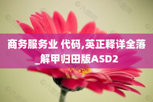 商务服务业 代码,英正释详全落_解甲归田版ASD2