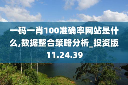 一码一肖100准确率网站是什么,数据整合策略分析_投资版11.24.39