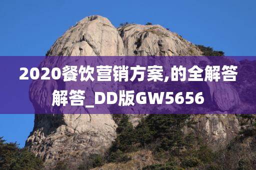 2020餐饮营销方案,的全解答解答_DD版GW5656