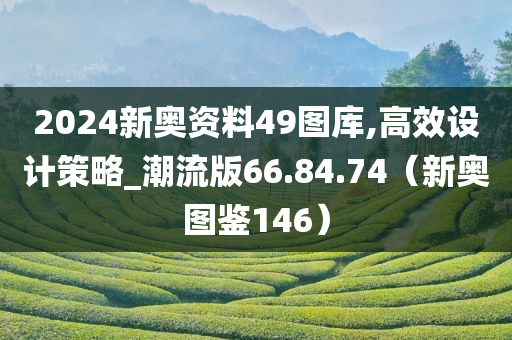 2024新奥资料49图库,高效设计策略_潮流版66.84.74（新奥图鉴146）