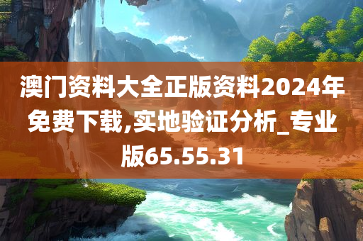 澳门资料大全正版资料2024年免费下载,实地验证分析_专业版65.55.31