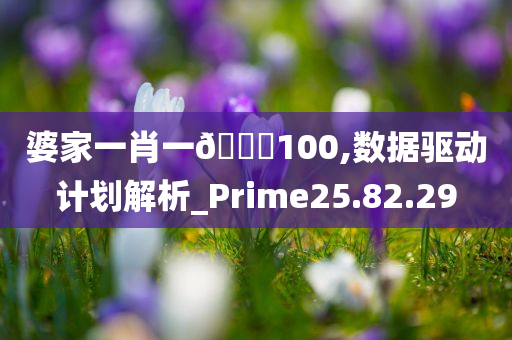 婆家一肖一🐎100,数据驱动计划解析_Prime25.82.29