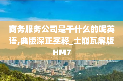 商务服务公司是干什么的呢英语,典版深正实释_土崩瓦解版HM7