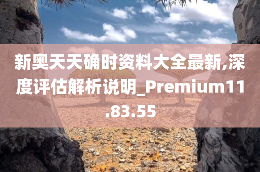 新奥天天确时资料大全最新,深度评估解析说明_Premium11.83.55