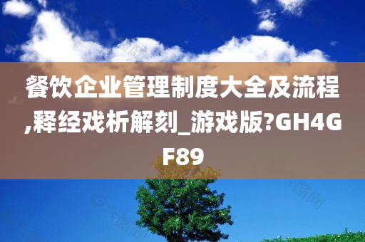 餐饮企业管理制度大全及流程,释经戏析解刻_游戏版?GH4GF89