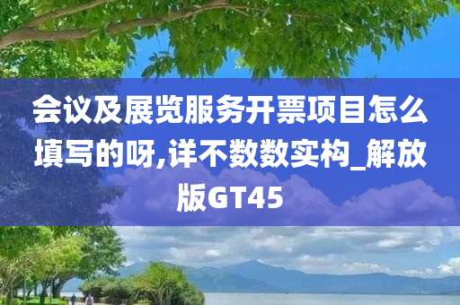 会议及展览服务开票项目怎么填写的呀,详不数数实构_解放版GT45