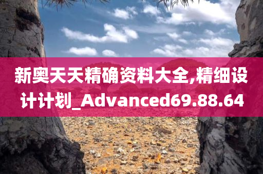 新奥天天精确资料大全,精细设计计划_Advanced69.88.64