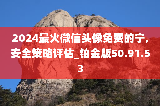 2024最火微信头像免费的宁,安全策略评估_铂金版50.91.53