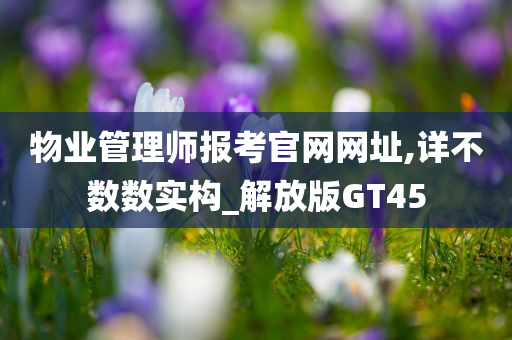 物业管理师报考官网网址,详不数数实构_解放版GT45