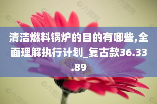 清洁燃料锅炉的目的有哪些,全面理解执行计划_复古款36.33.89