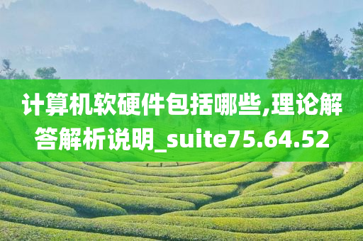 计算机软硬件包括哪些,理论解答解析说明_suite75.64.52