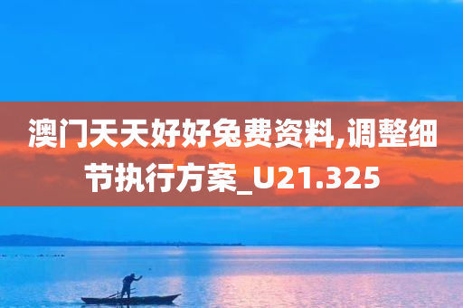 澳门天天好好兔费资料,调整细节执行方案_U21.325