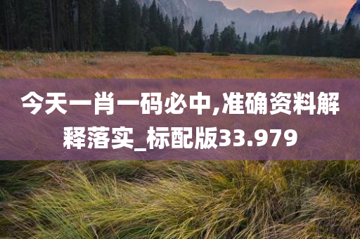 今天一肖一码必中,准确资料解释落实_标配版33.979