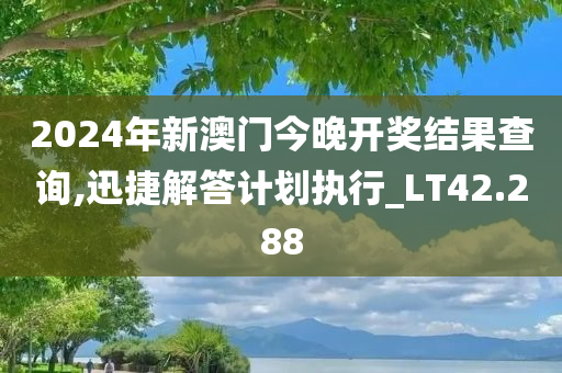 2024年新澳门今晚开奖结果查询,迅捷解答计划执行_LT42.288