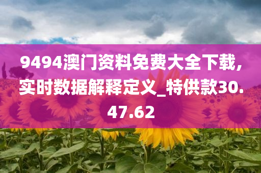 9494澳门资料免费大全下载,实时数据解释定义_特供款30.47.62