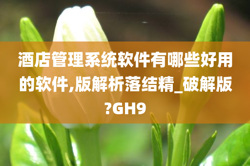 酒店管理系统软件有哪些好用的软件,版解析落结精_破解版?GH9