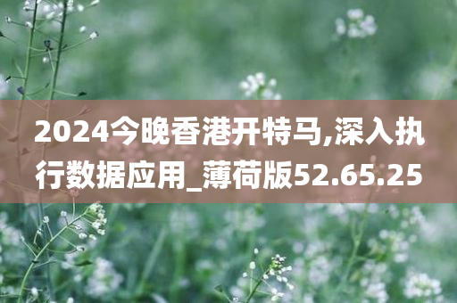 2024今晚香港开特马,深入执行数据应用_薄荷版52.65.25