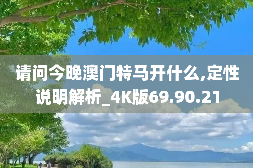 请问今晚澳门特马开什么,定性说明解析_4K版69.90.21