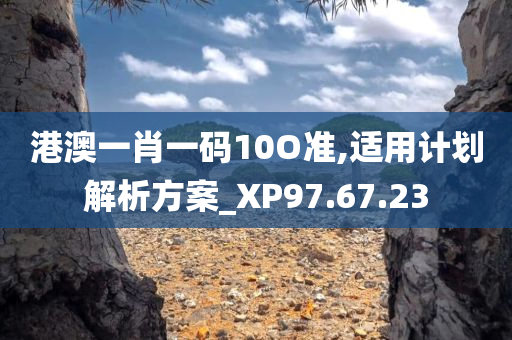 港澳一肖一码10O准,适用计划解析方案_XP97.67.23