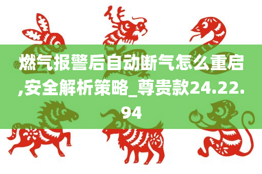 燃气报警后自动断气怎么重启,安全解析策略_尊贵款24.22.94