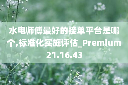 水电师傅最好的接单平台是哪个,标准化实施评估_Premium21.16.43