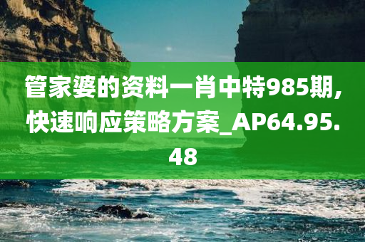 管家婆的资料一肖中特985期,快速响应策略方案_AP64.95.48