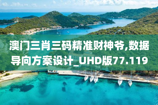 澳门三肖三码精准财神爷,数据导向方案设计_UHD版77.119