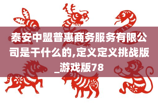 泰安中盟普惠商务服务有限公司是干什么的,定义定义挑战版_游戏版78