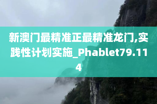 新澳门最精准正最精准龙门,实践性计划实施_Phablet79.114