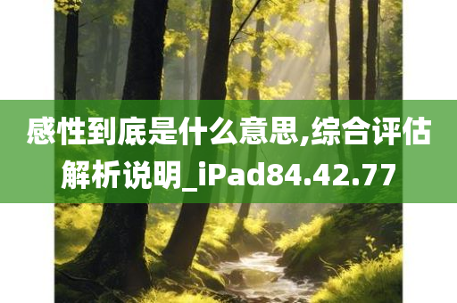 感性到底是什么意思,综合评估解析说明_iPad84.42.77