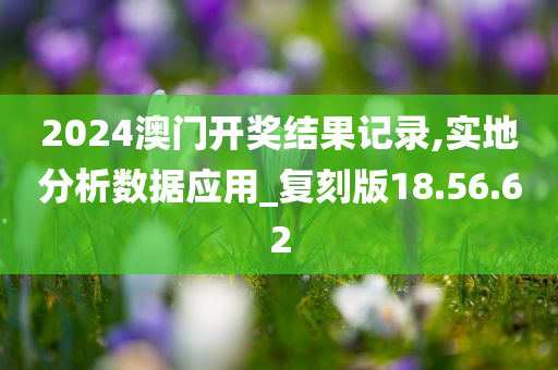 2024澳门开奖结果记录,实地分析数据应用_复刻版18.56.62