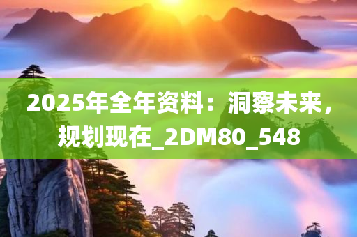 2025年全年资料：洞察未来，规划现在_2DM80_548