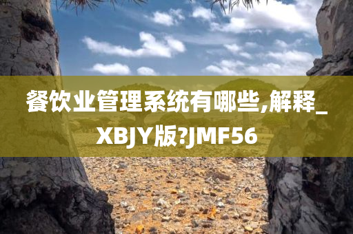 餐饮业管理系统有哪些,解释_XBJY版?JMF56