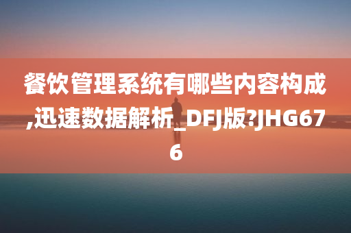 餐饮管理系统有哪些内容构成,迅速数据解析_DFJ版?JHG676