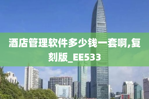 酒店管理软件多少钱一套啊,复刻版_EE533