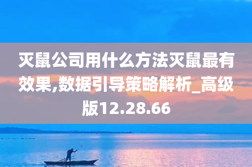 灭鼠公司用什么方法灭鼠最有效果,数据引导策略解析_高级版12.28.66