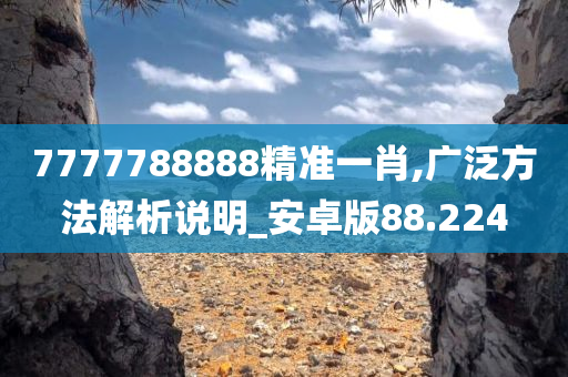 7777788888精准一肖,广泛方法解析说明_安卓版88.224