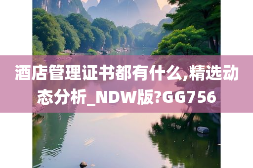 酒店管理证书都有什么,精选动态分析_NDW版?GG756