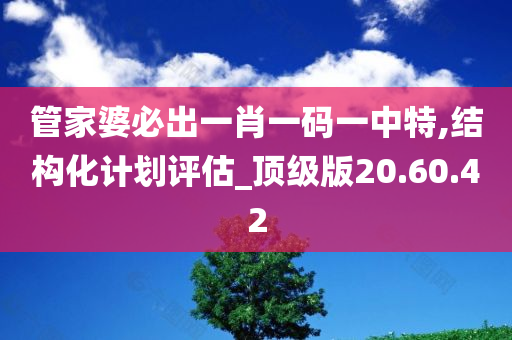 管家婆必出一肖一码一中特,结构化计划评估_顶级版20.60.42