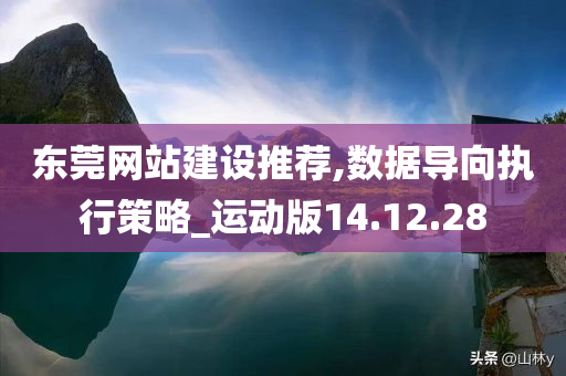 东莞网站建设推荐,数据导向执行策略_运动版14.12.28