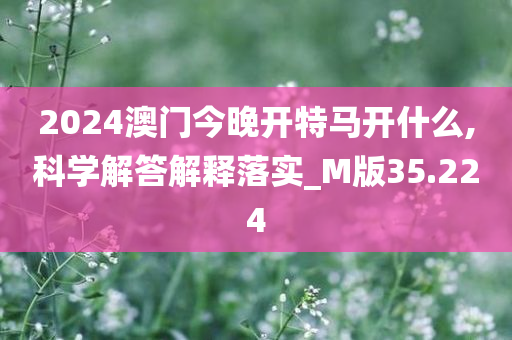 2024澳门今晚开特马开什么,科学解答解释落实_M版35.224