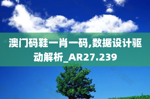 澳门码鞋一肖一码,数据设计驱动解析_AR27.239